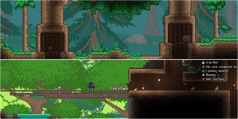 Terraria Dyes Explained .